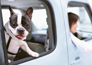 愛知車検ならローンも利用可能なこの会社