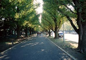 【2026年最新版】一宮市の未使用車購入ガイド|高品質な車をお得に手に入れる方法