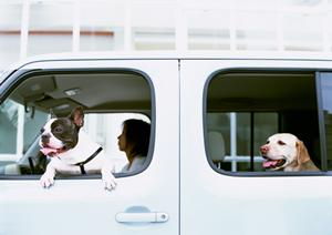 短時間・低価格で安心!みよし車検の評判と選ばれる理由